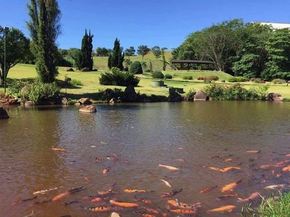 destinos-no-sul-do-brasil-parque-do-japão-maringá