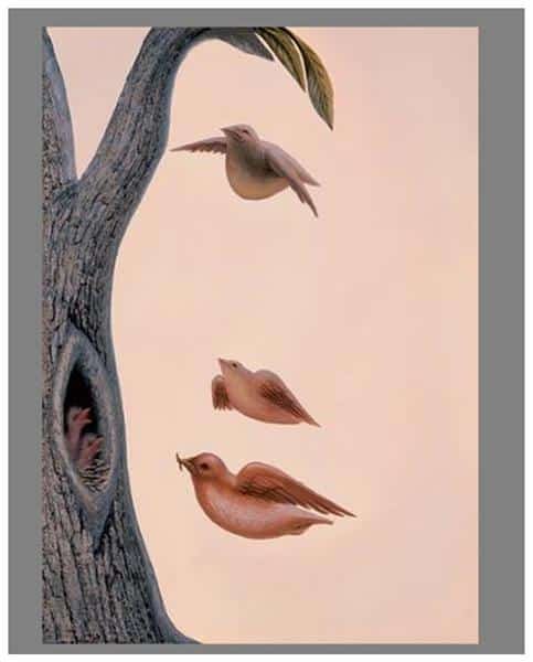 ilusões-de-ótica-family-of-birds-octavio-campo