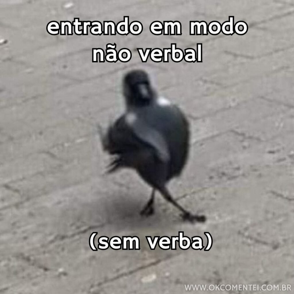 Os Melhores 42 Memes Engra ados Da Internet Os Melhores 42 Memes Engra ados Da Internet