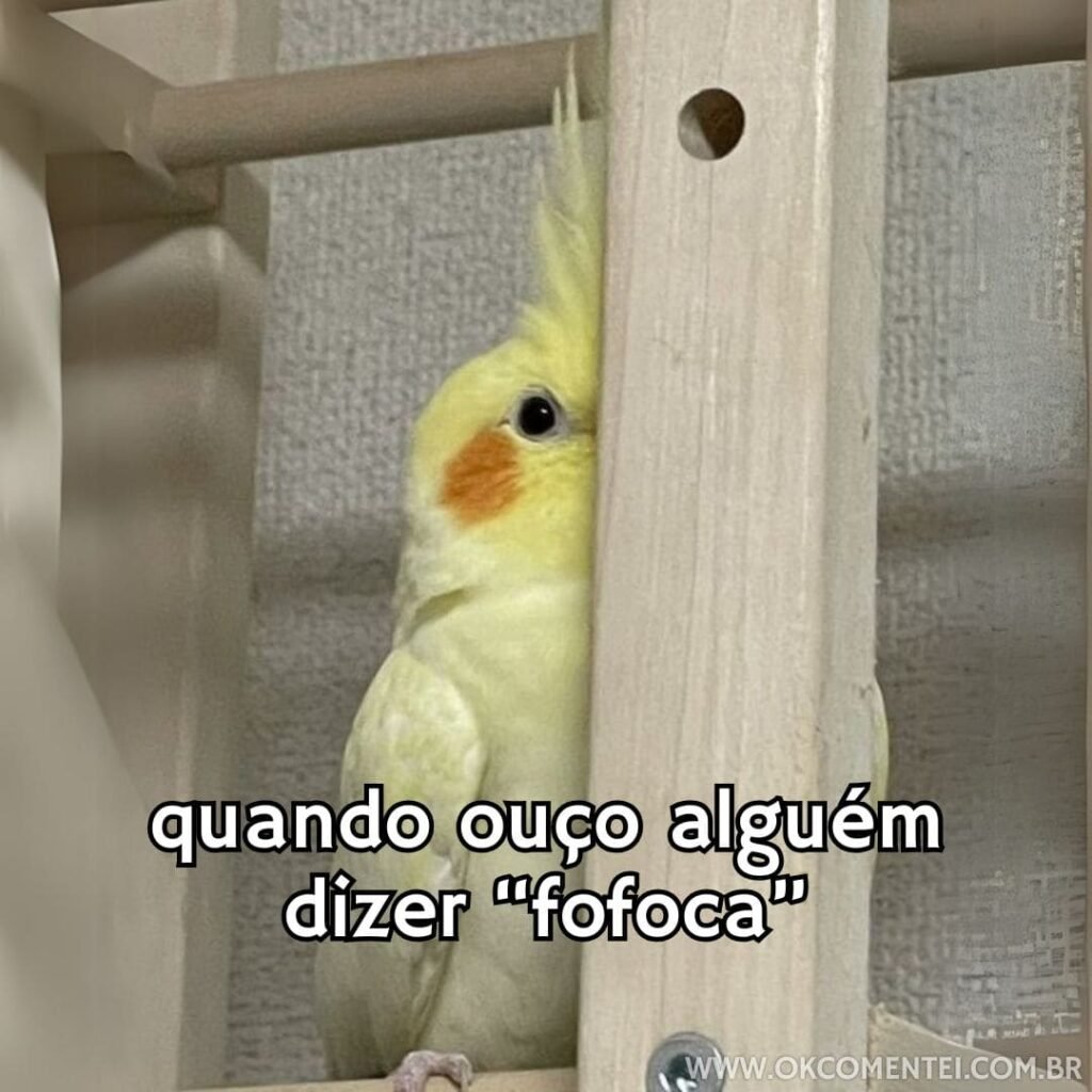 Os Melhores 42 Memes Engra ados Da Internet Os Melhores 42 Memes Engra ados Da Internet