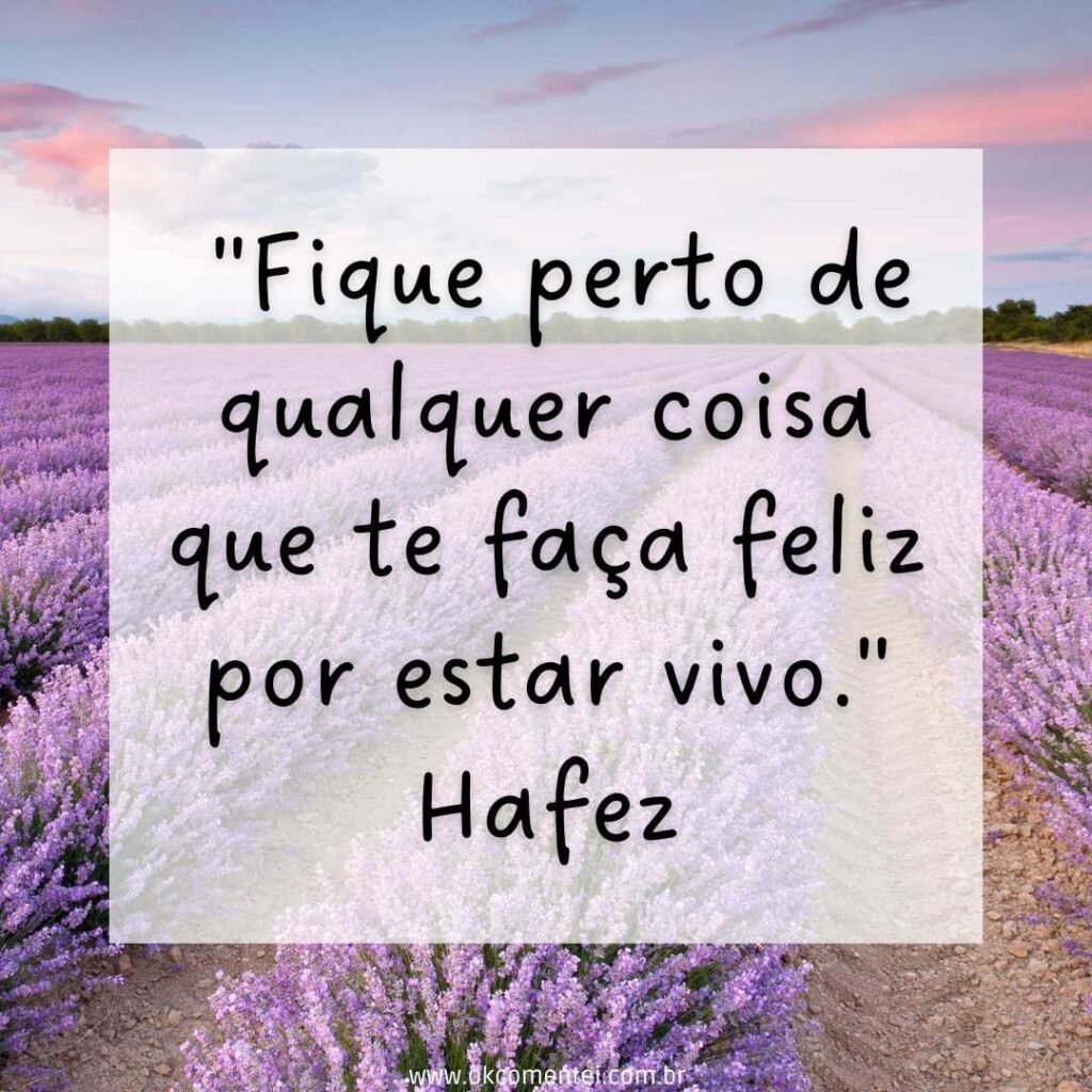 158 frases motivacionais poderosas para transformar o seu dia frases-motivacionais