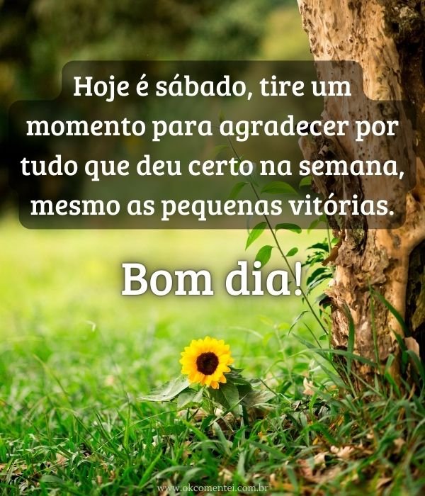 bom-dia-sábado