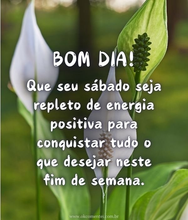 bom-dia-sábado