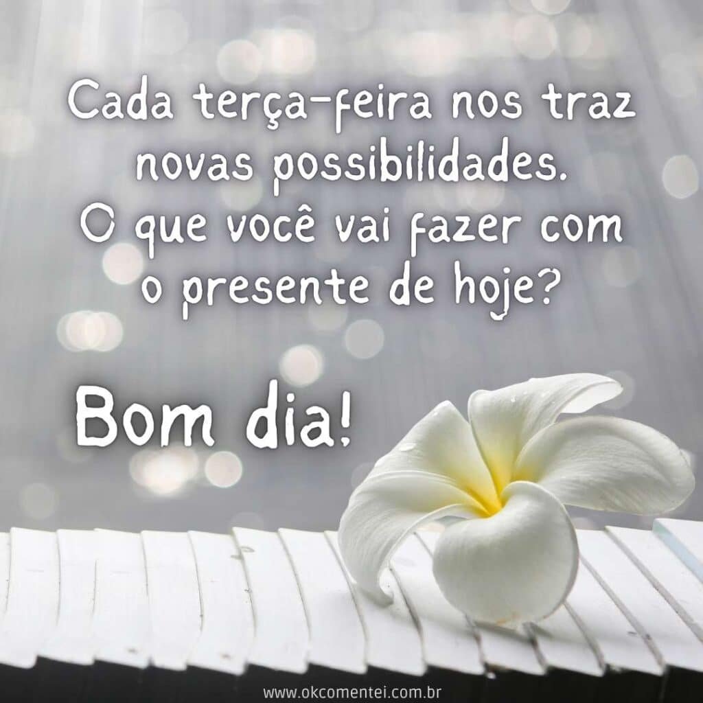 Bom dia, terça-feira: 35 mensagens inspiradoras para começar o dia bom-dia-terça-feira