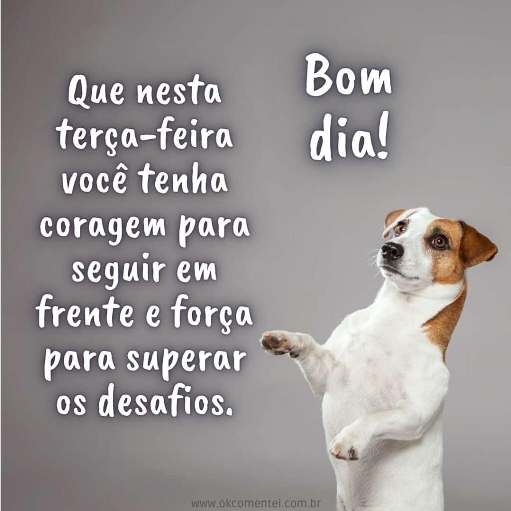 Bom dia, terça-feira: 35 mensagens inspiradoras para começar o dia bom-dia-terça-feira