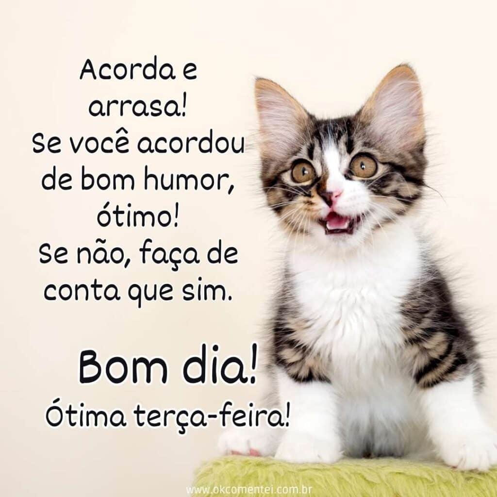 Bom dia, terça-feira: 35 mensagens inspiradoras para começar o dia bom-dia-terça-feira