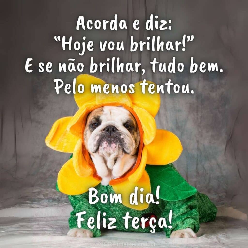 Bom dia, terça-feira: 35 mensagens inspiradoras para começar o dia bom-dia-terça-feira