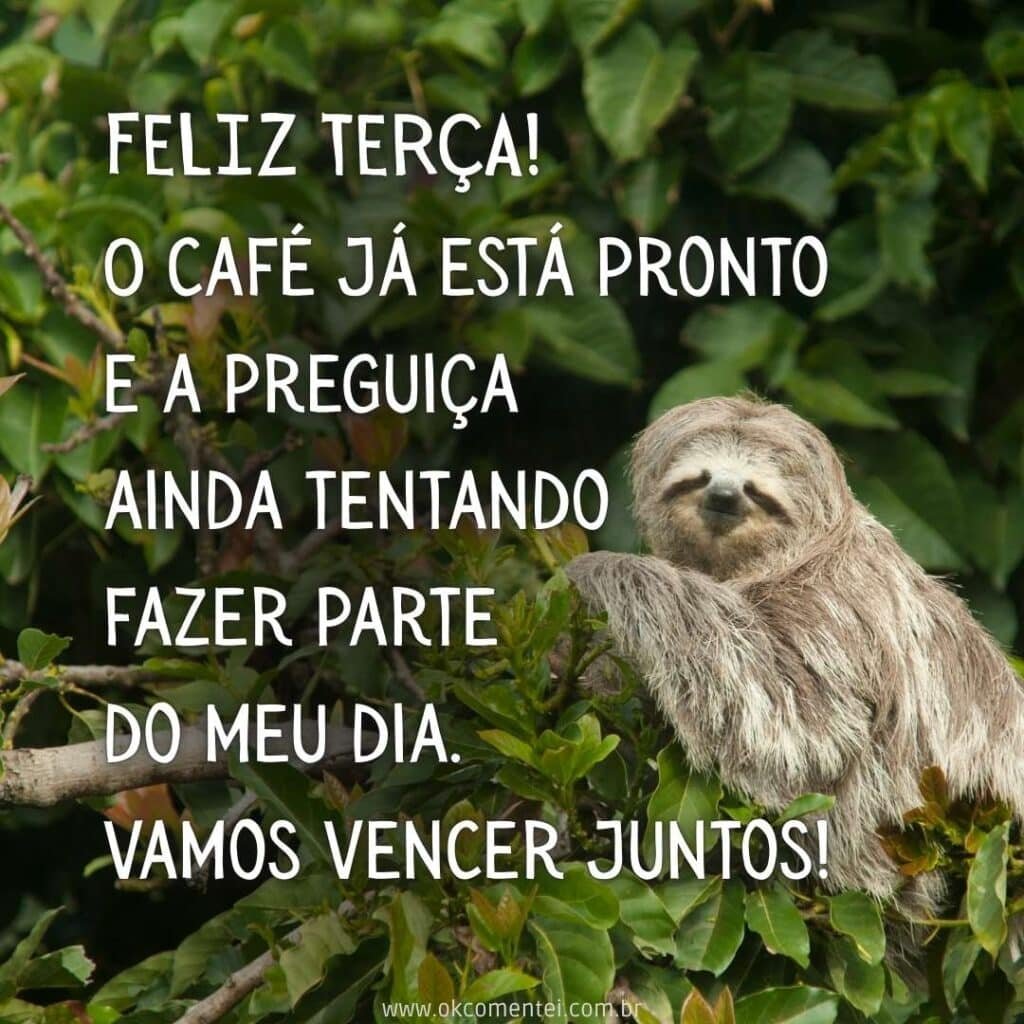 Bom dia, terça-feira: 35 mensagens inspiradoras para começar o dia bom-dia-terça-feira