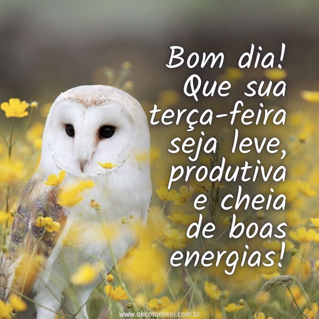 Bom dia, terça-feira: 35 mensagens inspiradoras para começar o dia bom-dia-terça-feira