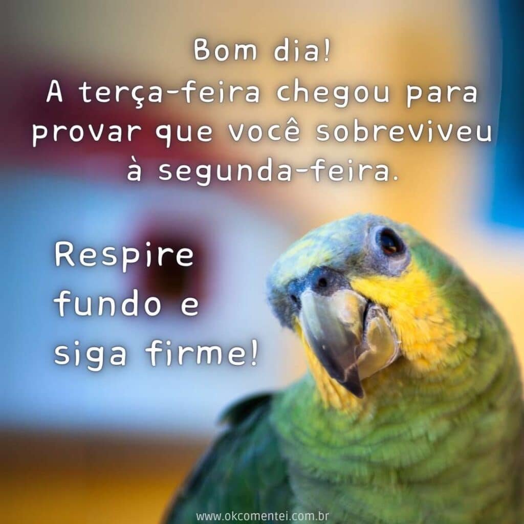 Bom dia, terça-feira: 35 mensagens inspiradoras para começar o dia bom-dia-terça-feira