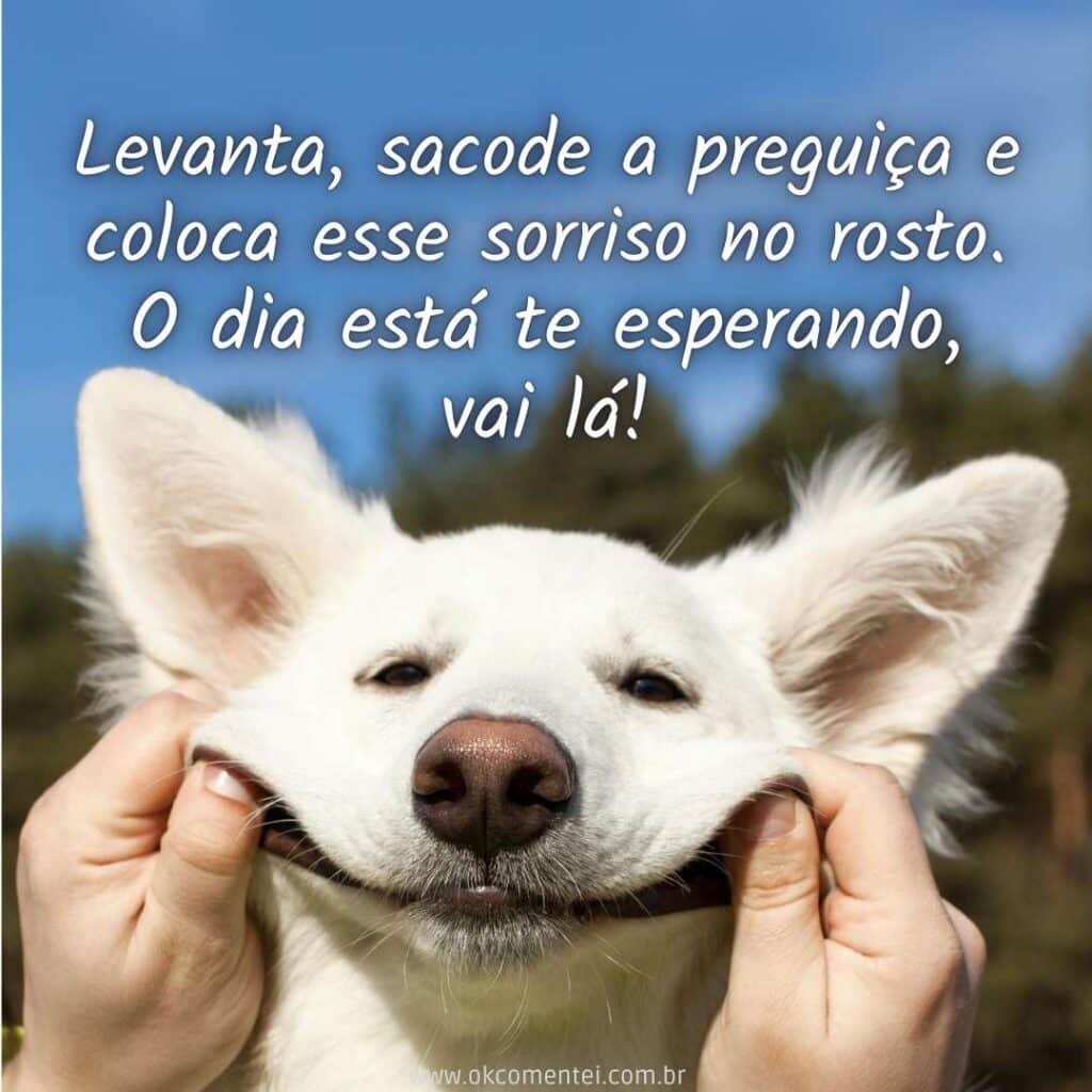 Bom dia, terça-feira: 35 mensagens inspiradoras para começar o dia bom-dia-terça-feira
