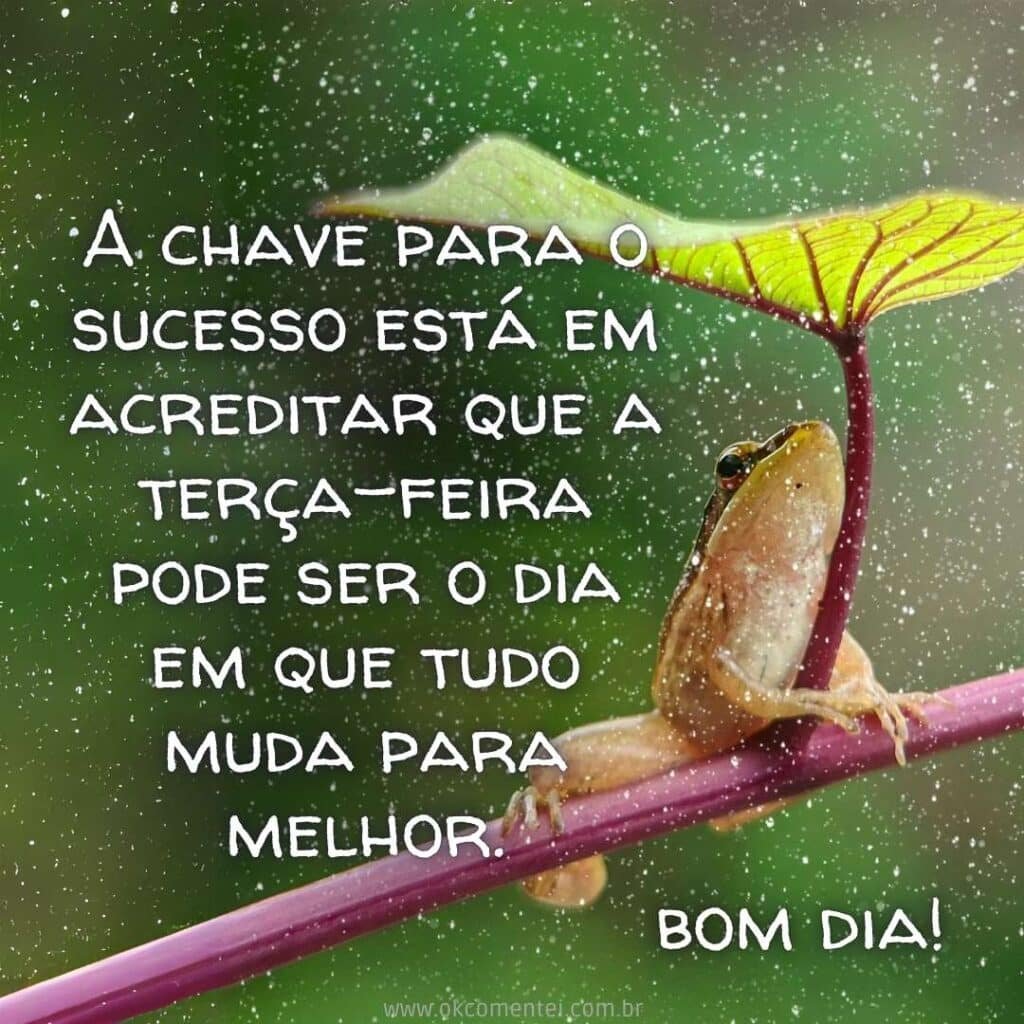 Bom dia, terça-feira: 35 mensagens inspiradoras para começar o dia bom-dia-terça-feira