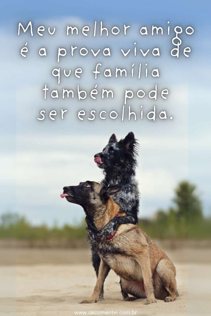 120 frases de amizade verdadeira para celebrar laços frases-de-amizade-verdadeira