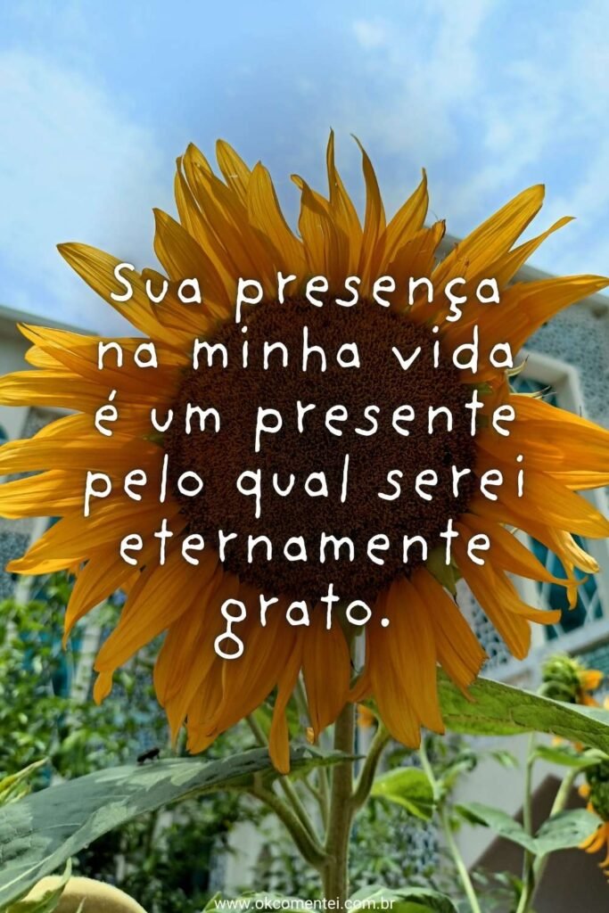 120 frases de amizade verdadeira para celebrar laços frases-de-amizade-verdadeira