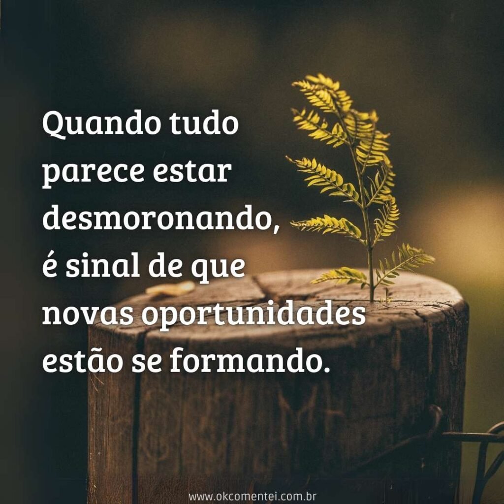 71 frases de superação para enfrentar desafios e renascer frases-de-superação