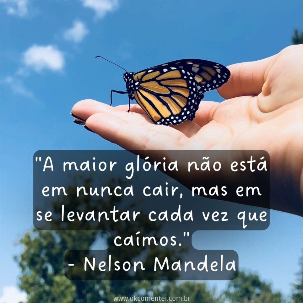 71 frases de superação para enfrentar desafios e renascer frases-de-superação