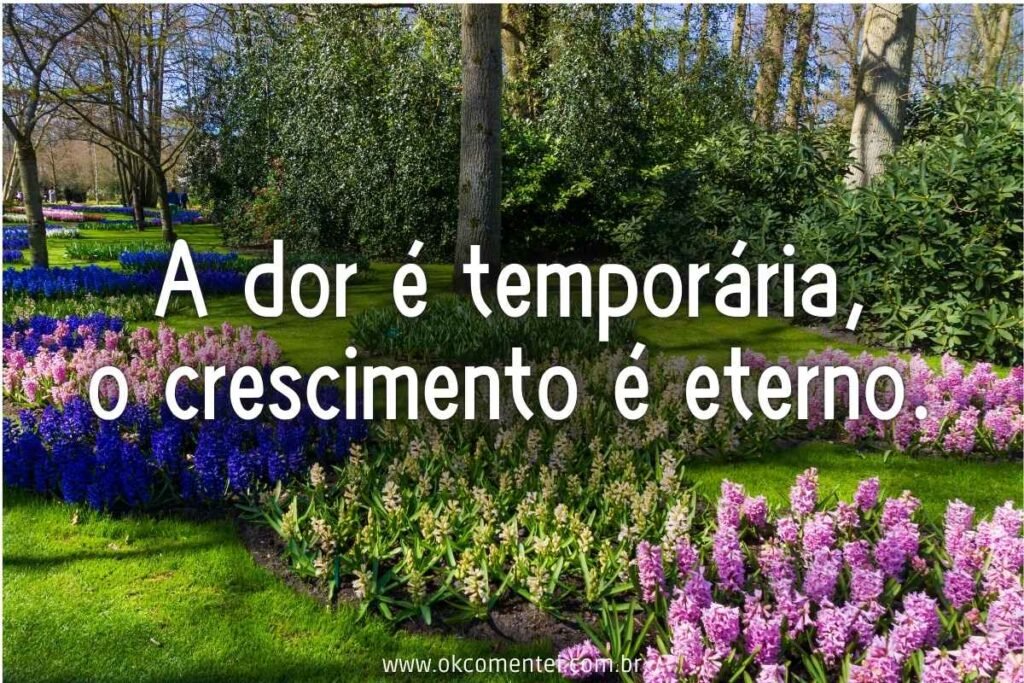 81 frases motivacionais curtas: o poder transformador em poucas palavras frases-motivacionais-curtas