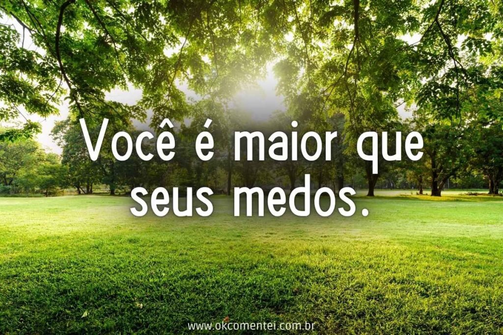 81 frases motivacionais curtas: o poder transformador em poucas palavras frases-motivacionais-curtas