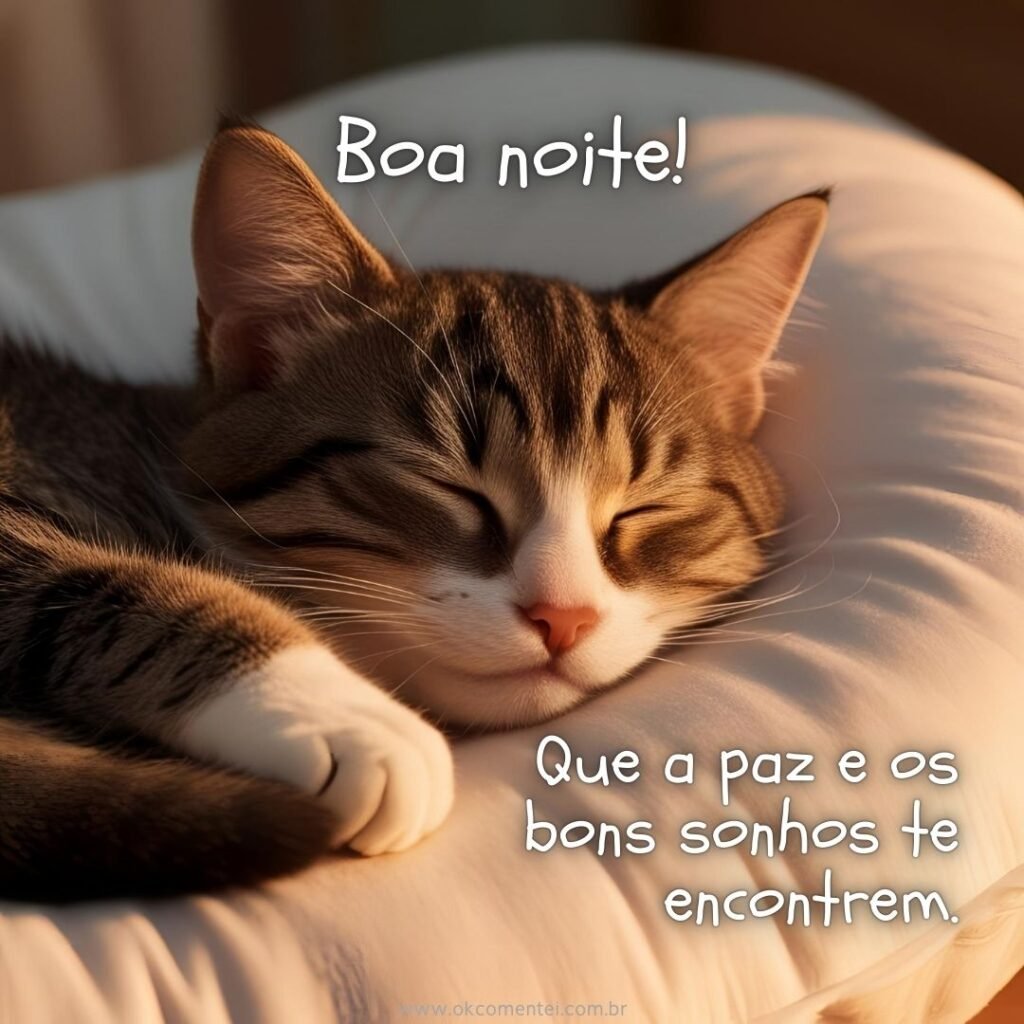 17 mensagens de boa noite fofo com imagens para desejar um doce descanso boa-noite-fofo