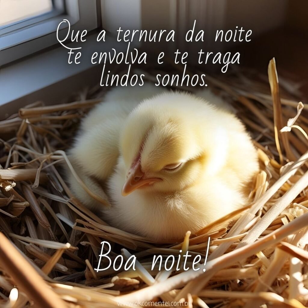 17 mensagens de boa noite fofo com imagens para desejar um doce descanso boa-noite-fofo