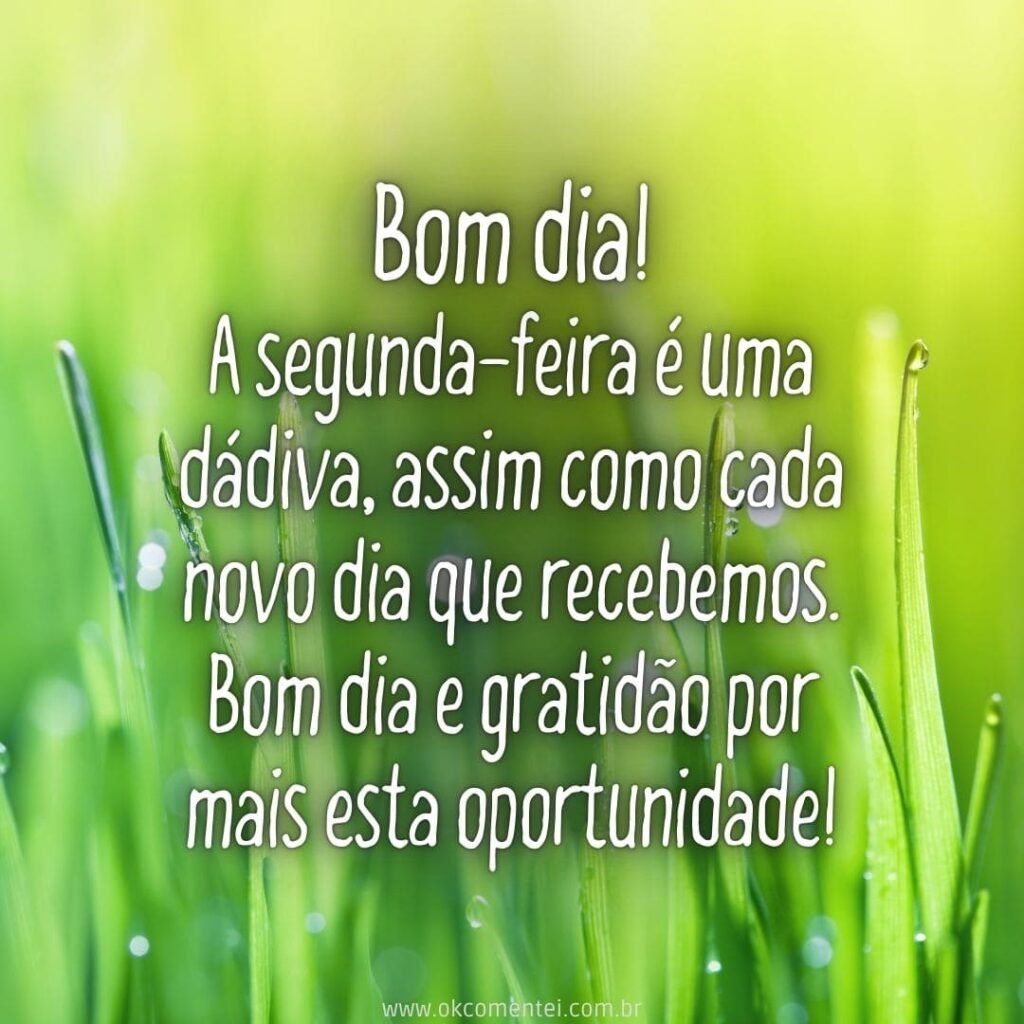 Bom dia, segunda-feira: 38 mensagens para começar a semana bom-dia-segunda-feira
