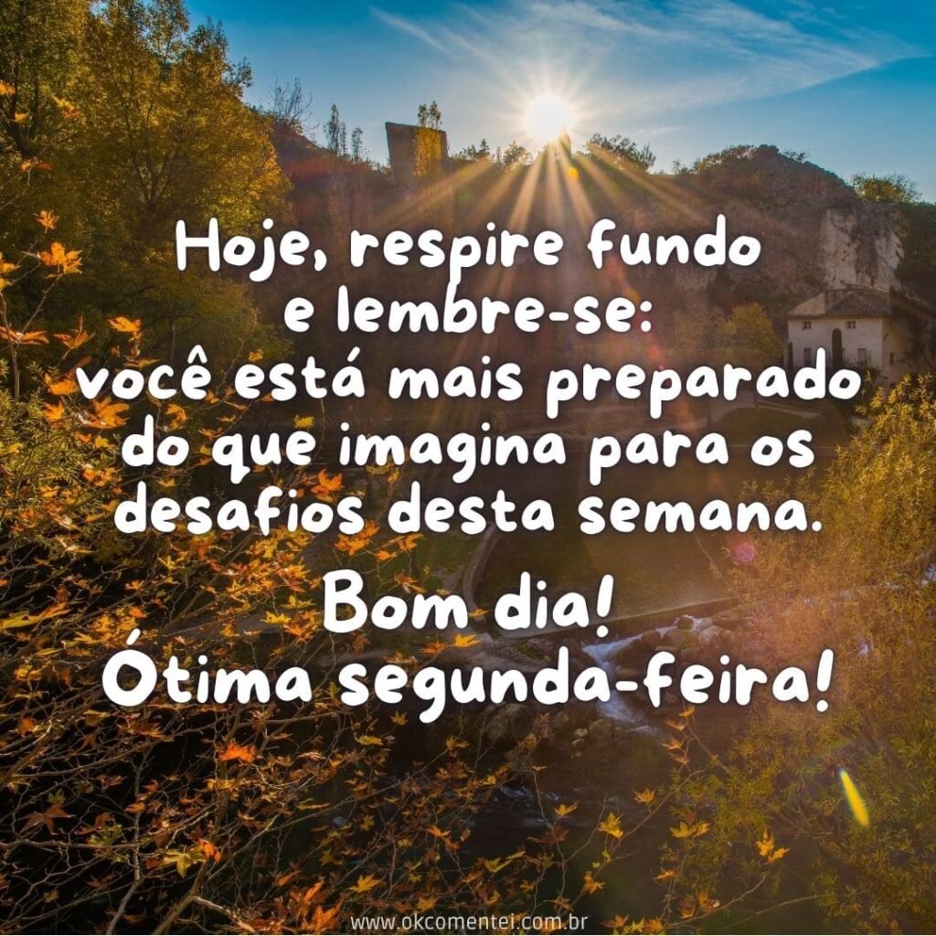 Bom dia, segunda-feira: 38 mensagens para começar a semana bom-dia-segunda-feira