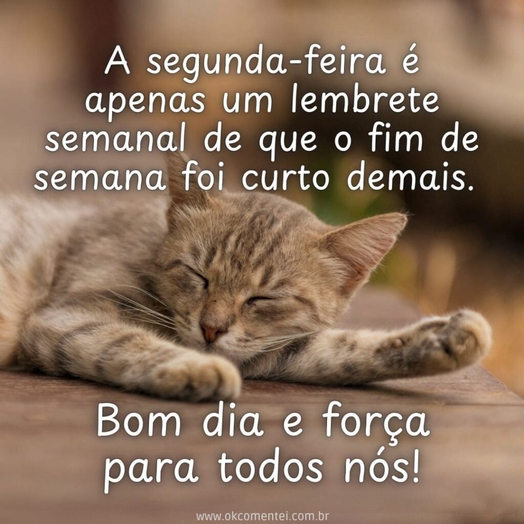 Bom dia, segunda-feira: 38 mensagens para começar a semana bom-dia-segunda-feira