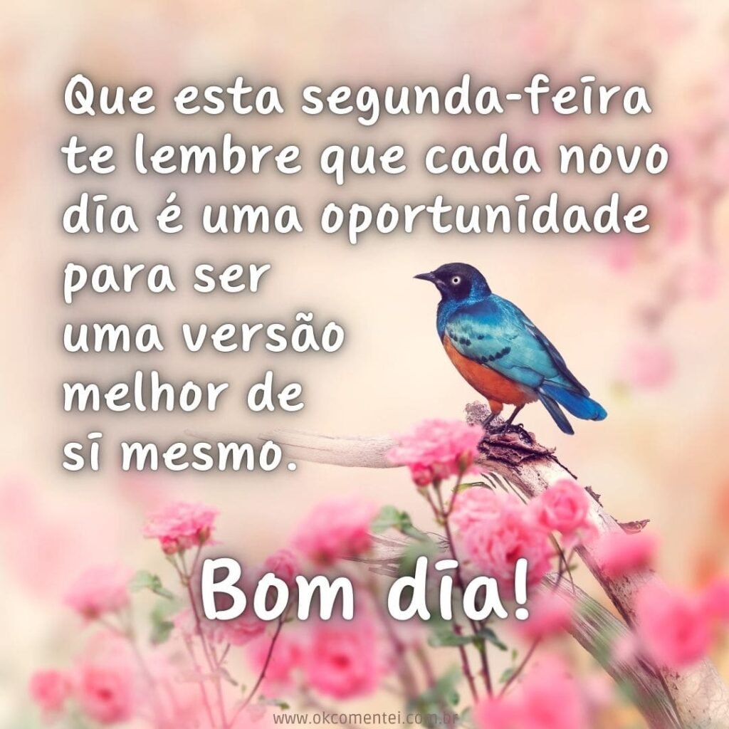 Bom dia, segunda-feira: 38 mensagens para começar a semana bom-dia-segunda-feira