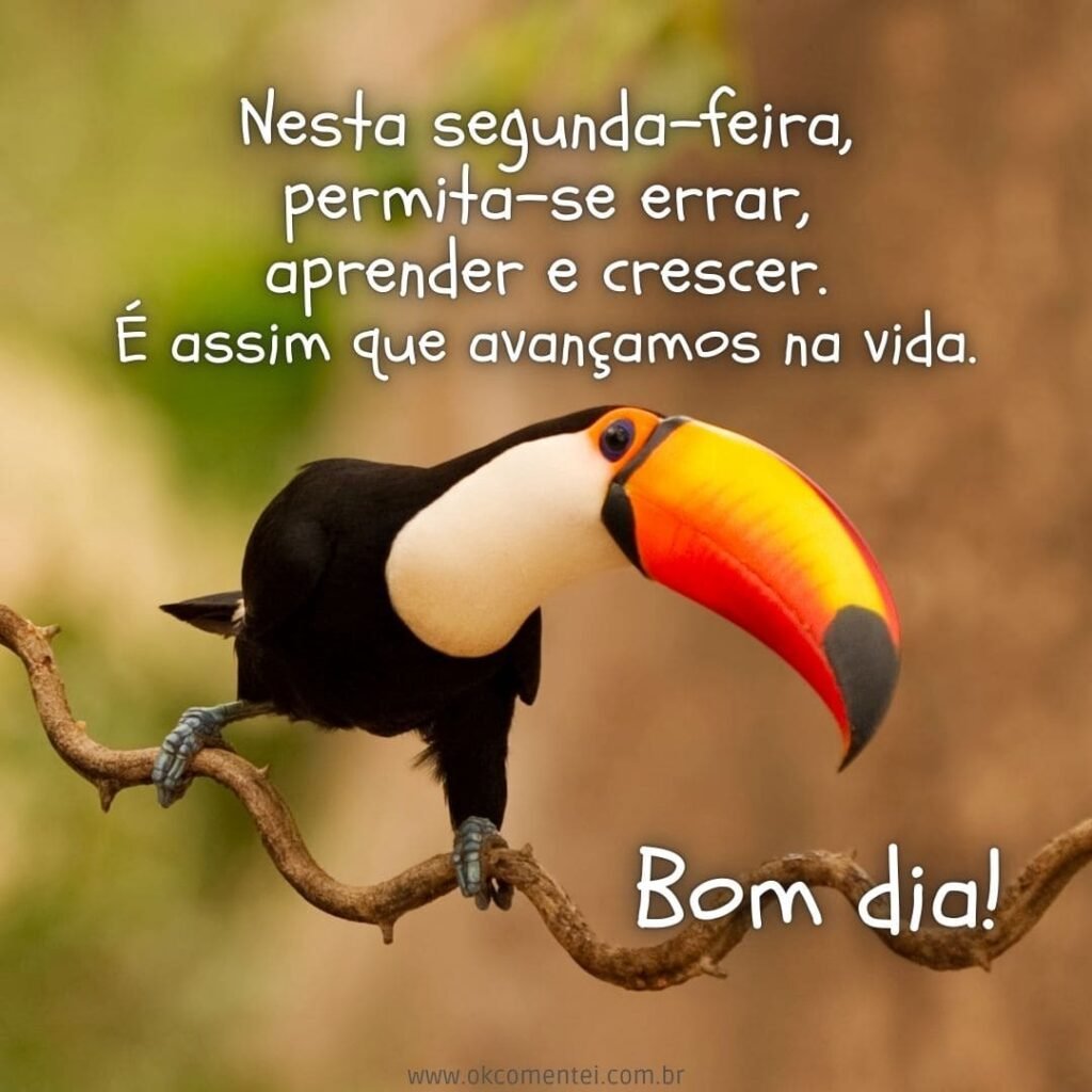 Bom dia, segunda-feira: 38 mensagens para começar a semana bom-dia-segunda-feira
