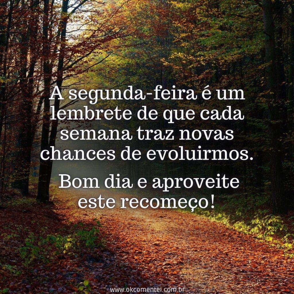 Bom dia, segunda-feira: 38 mensagens para começar a semana bom-dia-segunda-feira