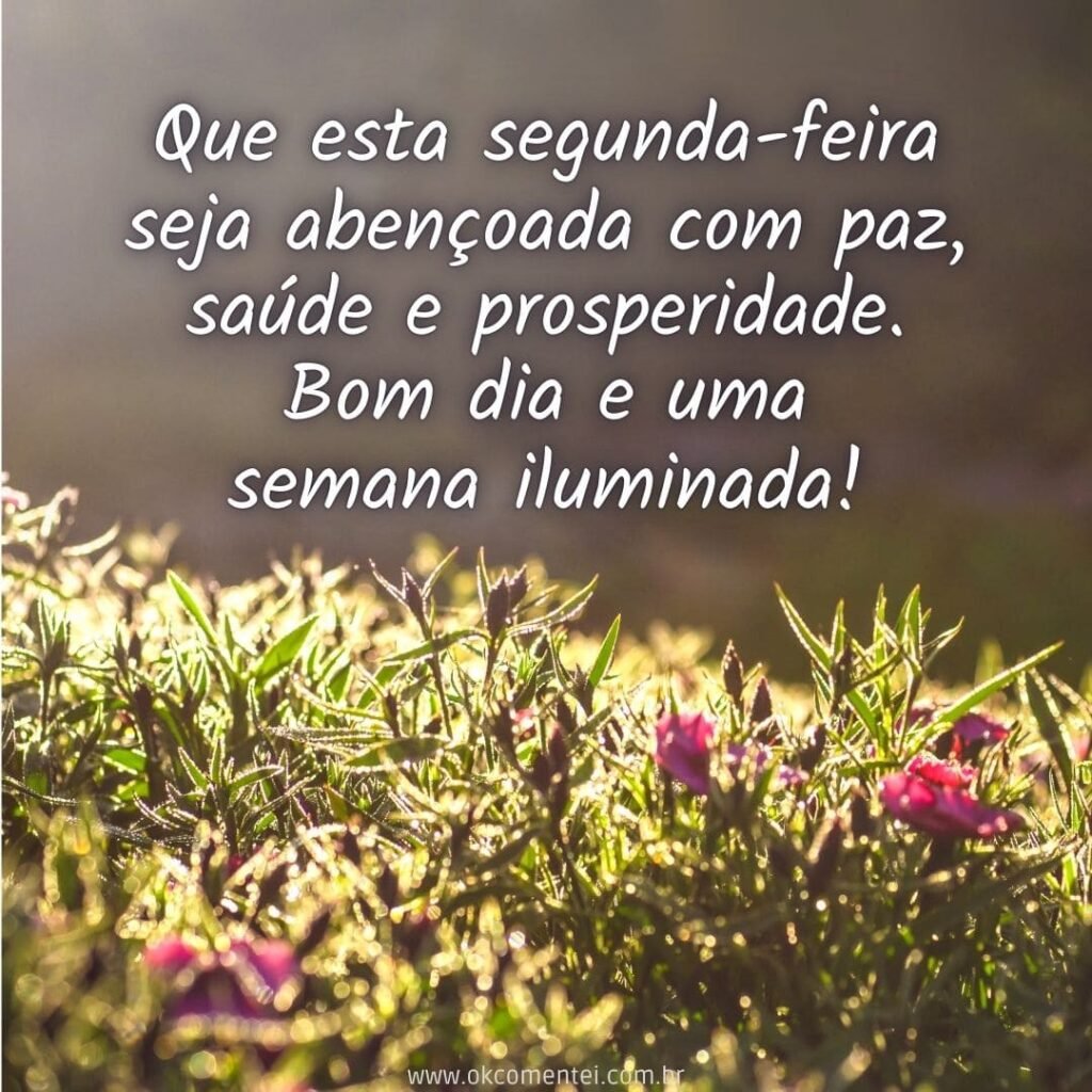 Bom dia, segunda-feira: 38 mensagens para começar a semana bom-dia-segunda-feira