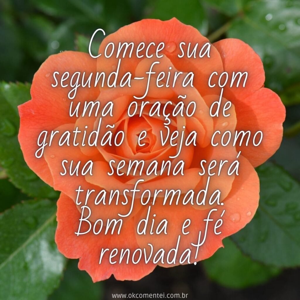 Bom dia, segunda-feira: 38 mensagens para começar a semana bom-dia-segunda-feira