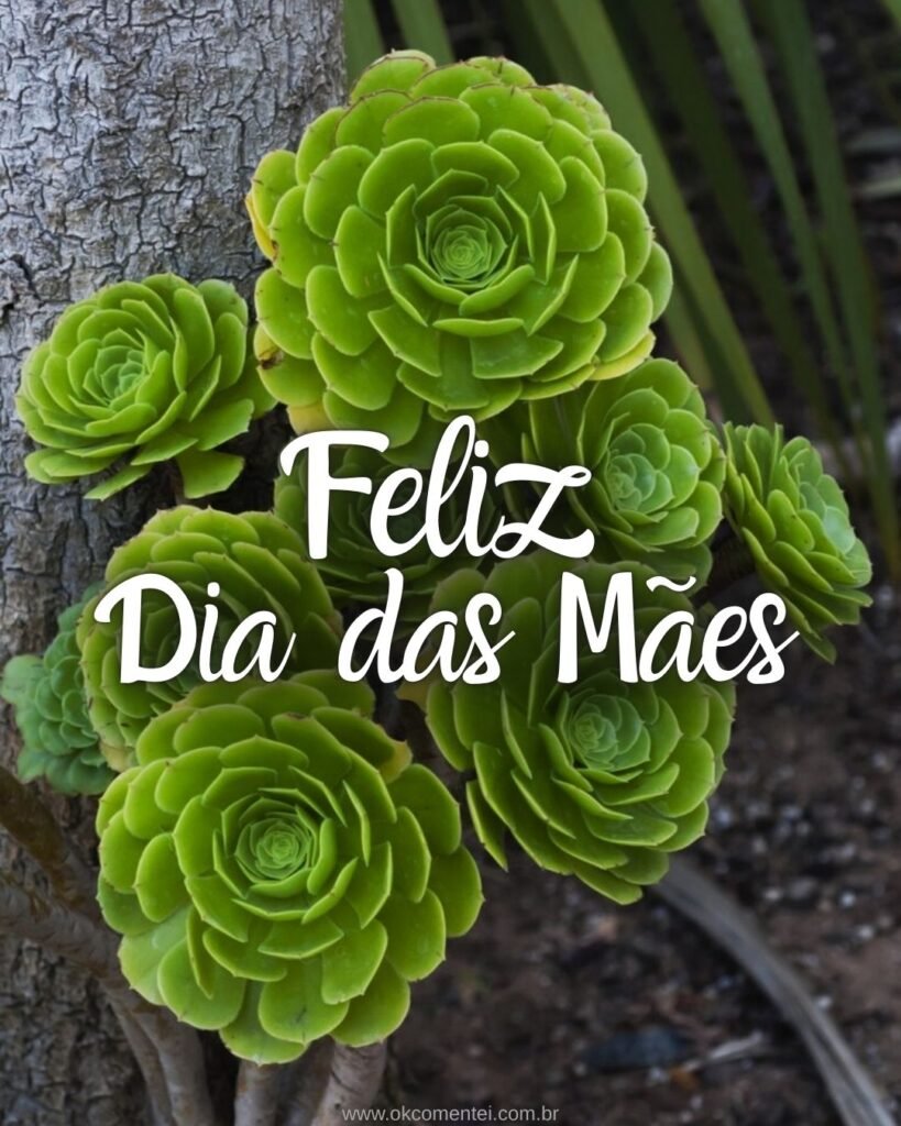 33 imagens de Feliz Dia das Mães para homenagear em 2025 feliz-dia-das-mães