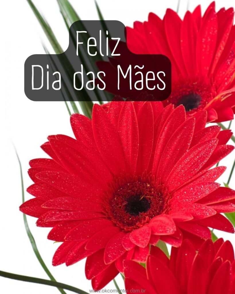 33 imagens de Feliz Dia das Mães para homenagear em 2025 feliz-dia-das-mães