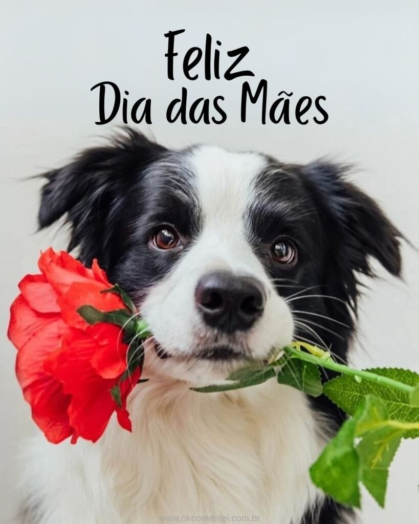 33 imagens de Feliz Dia das Mães para homenagear em 2025 feliz-dia-das-mães