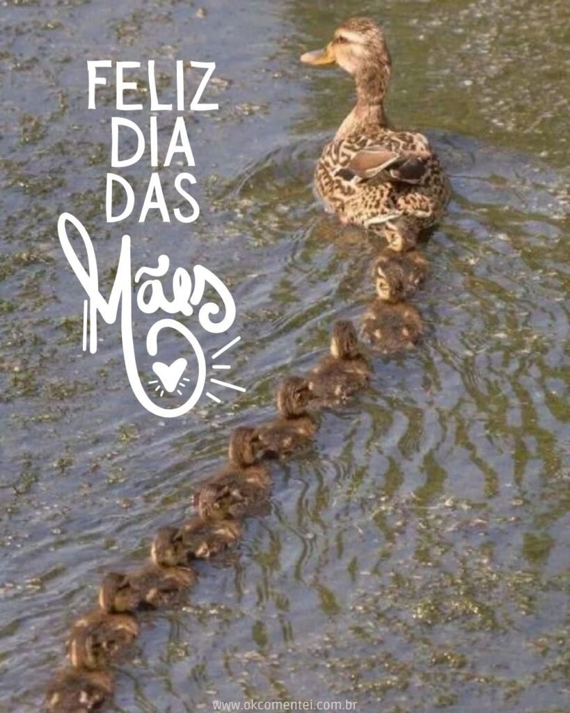 33 imagens de Feliz Dia das Mães para homenagear em 2025 feliz-dia-das-mães