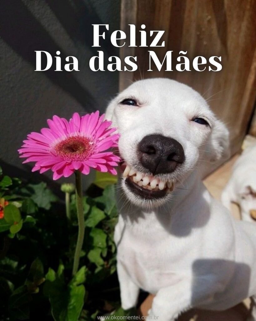 33 imagens de Feliz Dia das Mães para homenagear em 2025 feliz-dia-das-mães