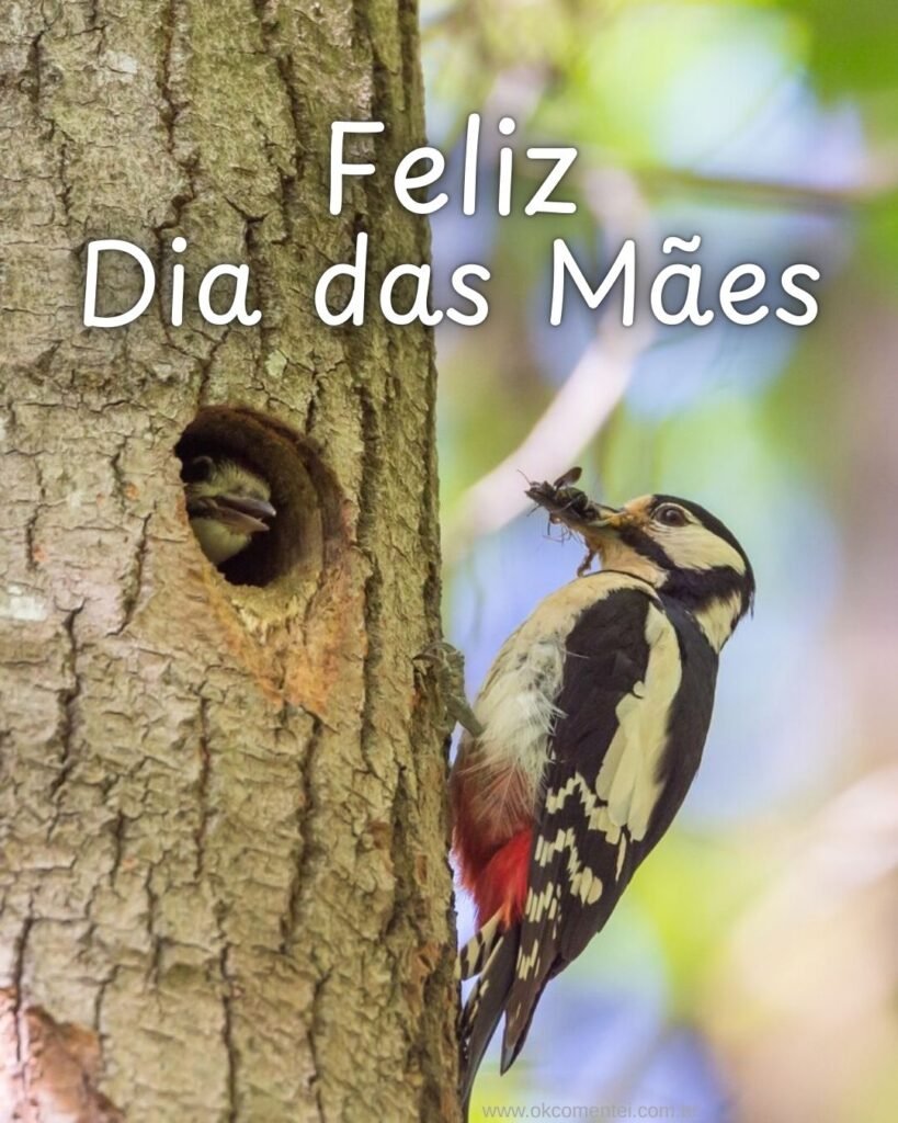 33 imagens de Feliz Dia das Mães para homenagear em 2025 feliz-dia-das-mães