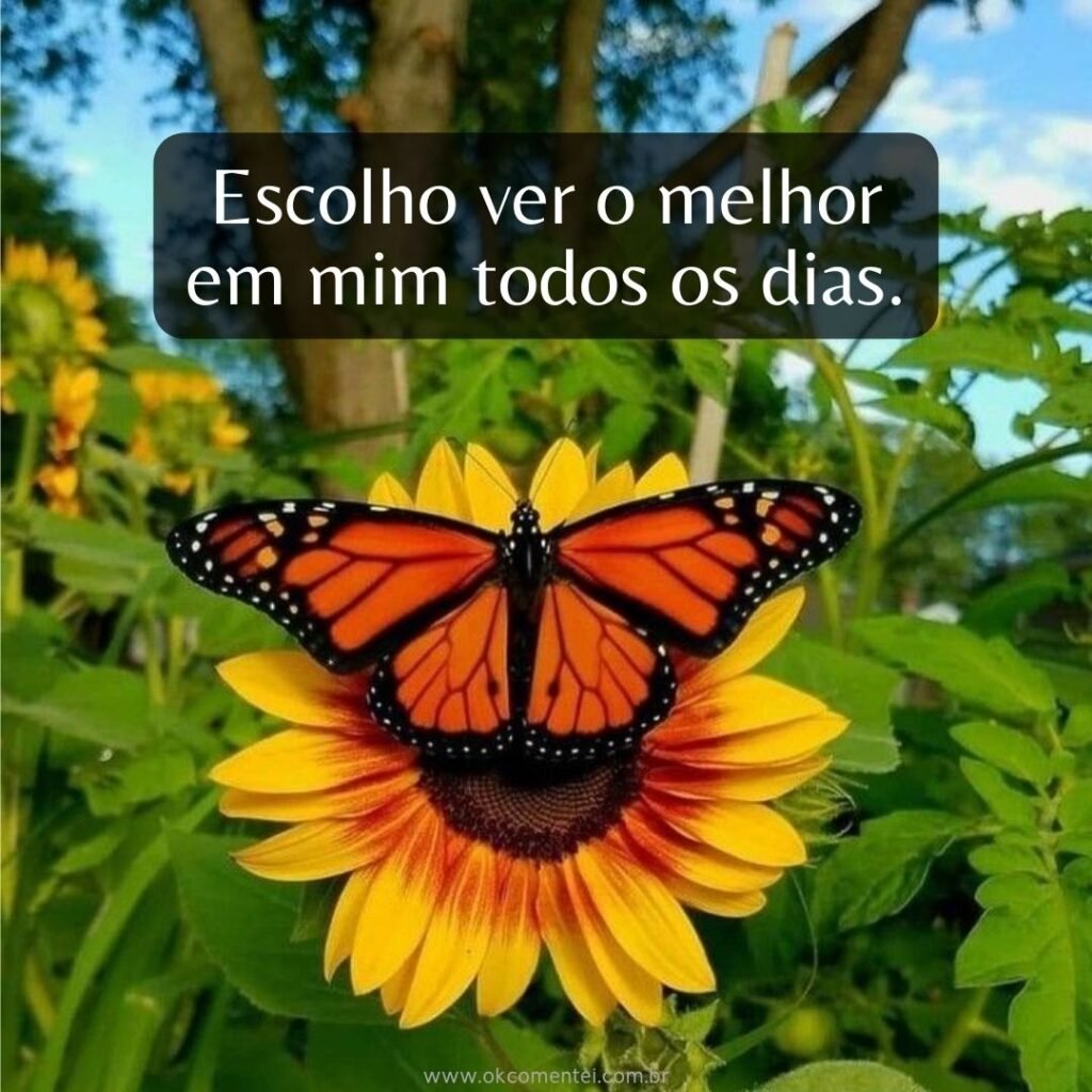99 frases de amor-próprio para valorizar quem você é frases-de-amor-próprio