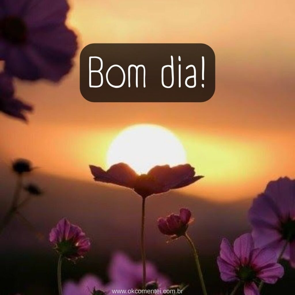 Imagem de bom dia: 31 opções perfeitas para compartilhar imagem-de-bom-dia