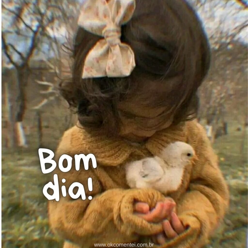 Imagem de bom dia: 31 opções perfeitas para compartilhar imagem-de-bom-dia