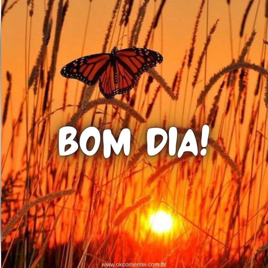 Imagem de bom dia: 31 opções perfeitas para compartilhar imagem-de-bom-dia