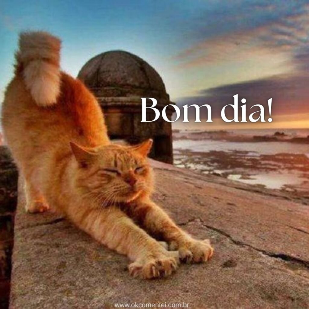 Imagem de bom dia: 31 opções perfeitas para compartilhar imagem-de-bom-dia