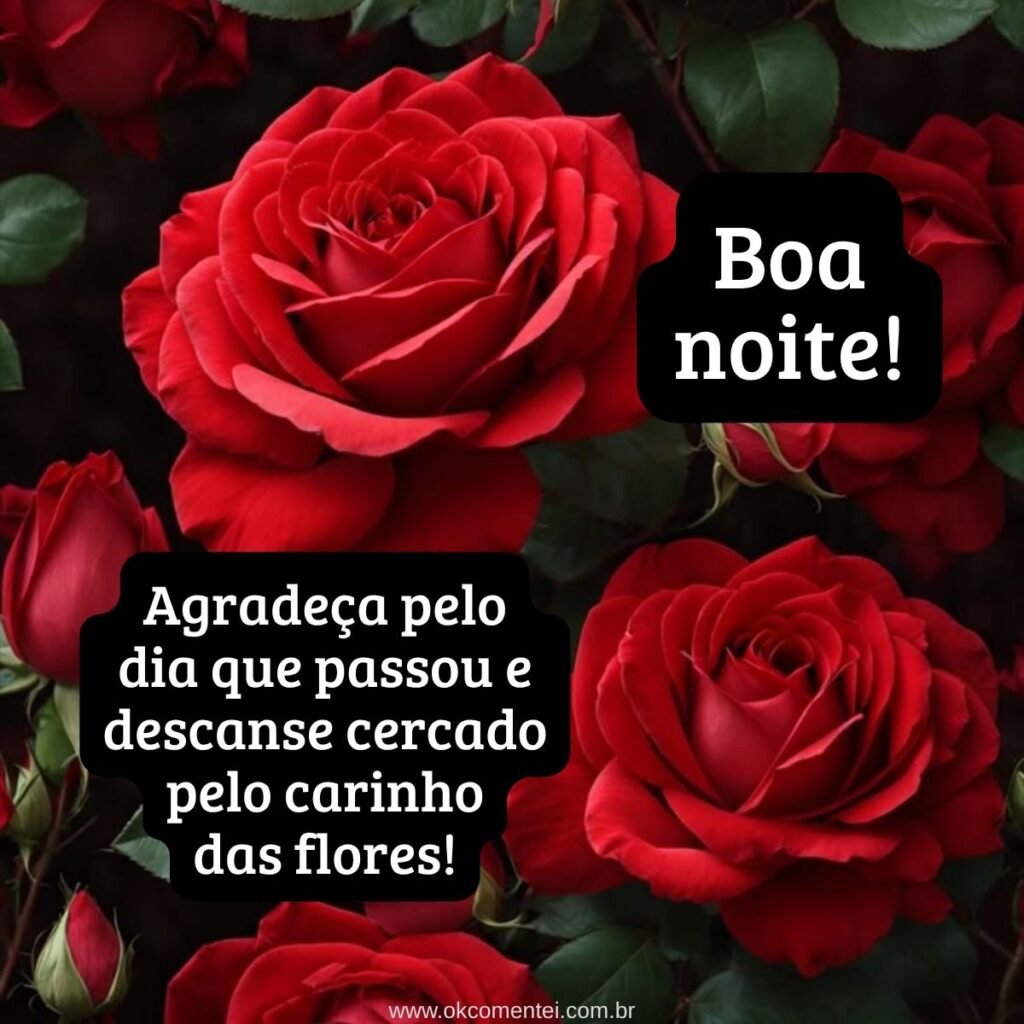 21 boa noite com flores para WhatsApp: as mais lindas mensagens boa-noite-com-flores