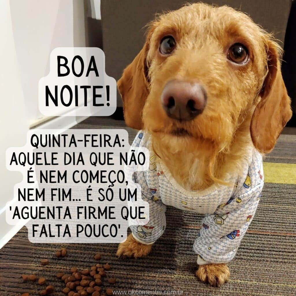Boa noite, quinta-feira: 52 mensagens para encerrar o dia com paz boa-noite-quinta-feira