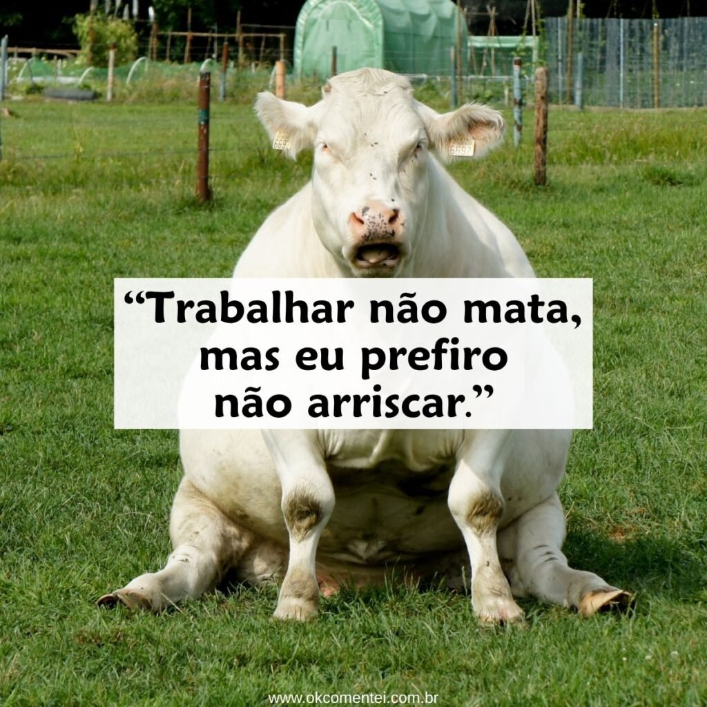 81 frases engraçadas para rir até chorar: humor garantido para animar o seu dia frases-engraçadas-para-rir-até-chorar