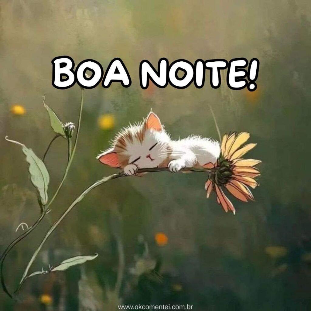 Imagem de boa noite: 31 opções perfeitas para compartilhar imagem-de-boa-noite
