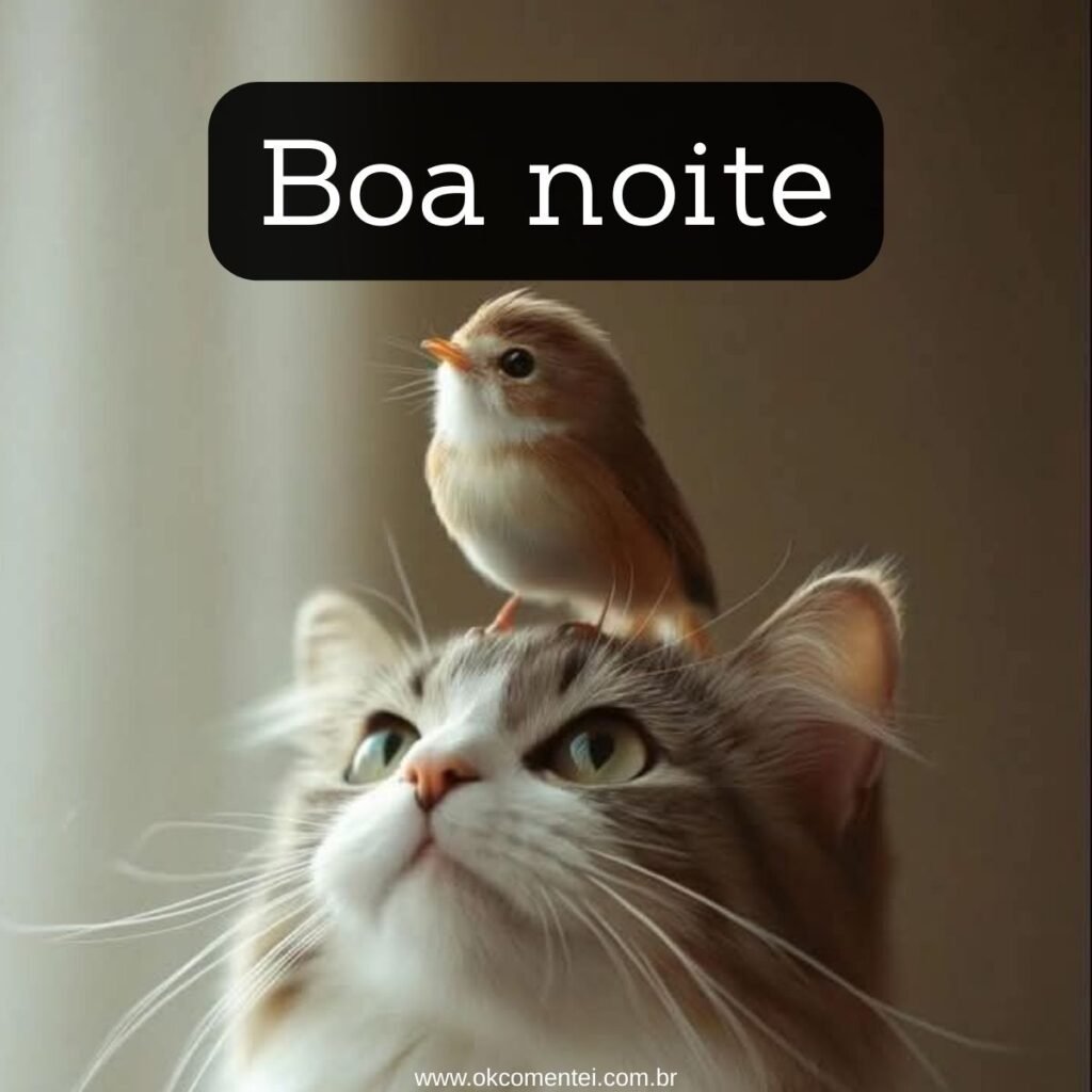 Imagem de boa noite: 31 opções perfeitas para compartilhar imagem-de-boa-noite