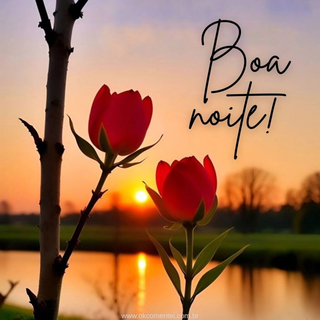 Imagem de boa noite: 31 opções perfeitas para compartilhar imagem-de-boa-noite