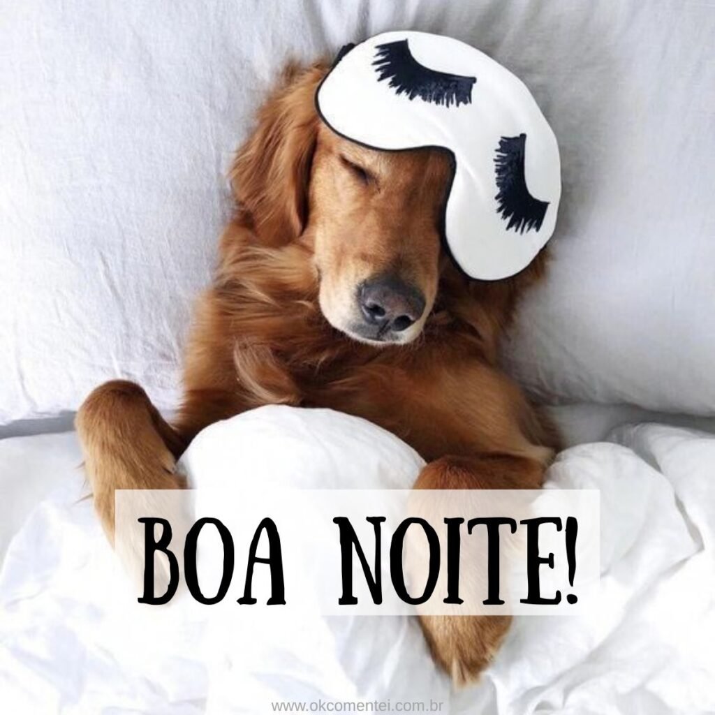 Imagem de boa noite: 31 opções perfeitas para compartilhar imagem-de-boa-noite